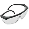Personal Protective Equipment Sellstrom Serbing Safety Glasses - Clear Tint